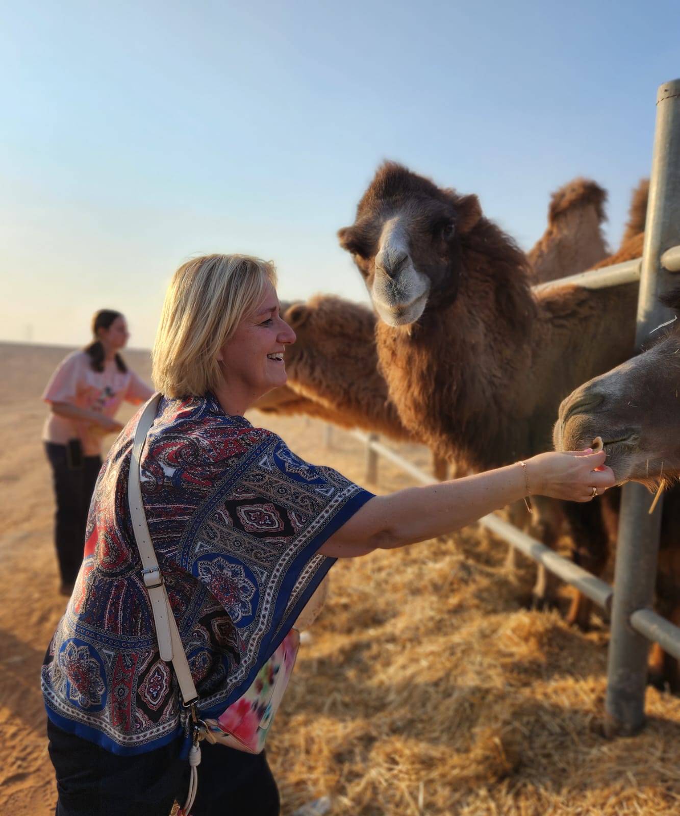 Horse\ Camel Riding