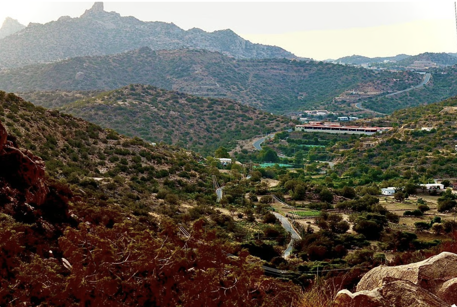 Taif A Journey Where Roses Meet Mountain Stories