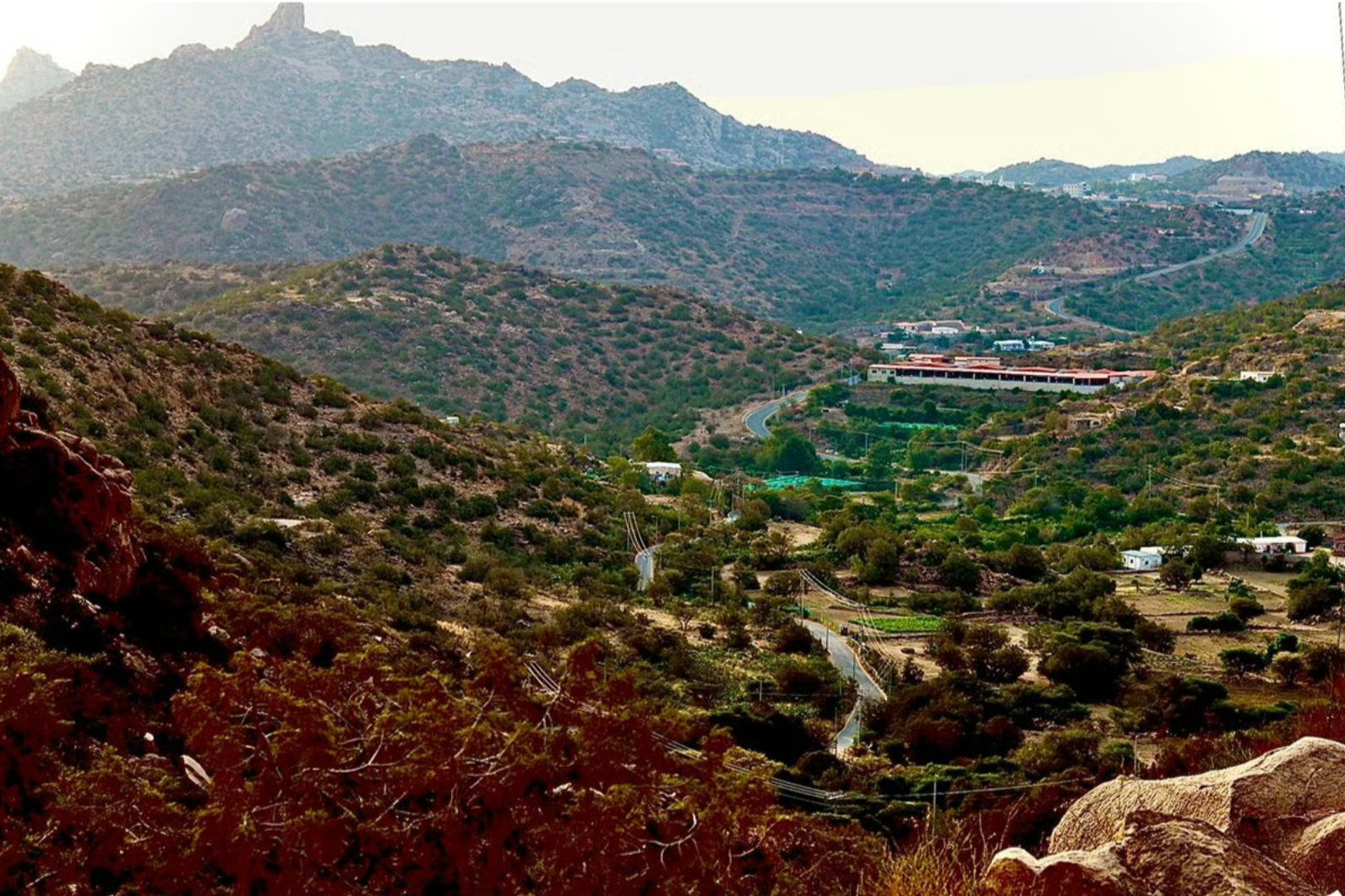 Taif A Journey Where Roses Meet Mountain Stories